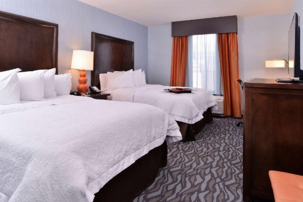 Hampton Inn By Hilton Potsdam image 16